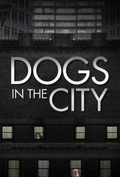狗狗在都市 第一季